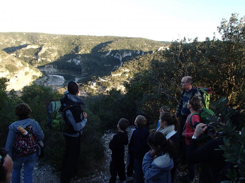 Fréquence Grenouille – Sortie sur la Réserve Naturelle Régionale des Gorges du Gardon