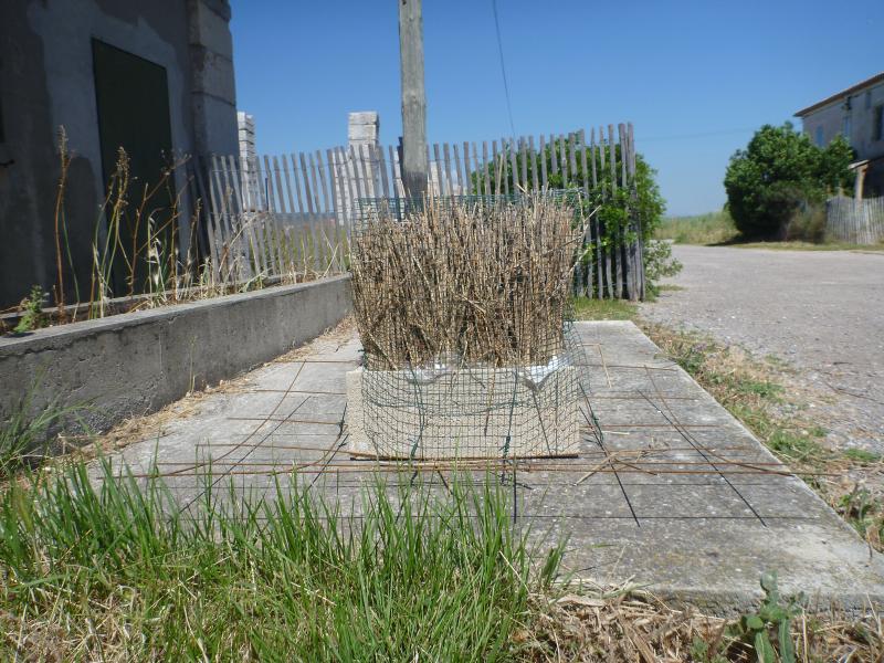 Appel à Bénévoles – Salines de Villeneuve