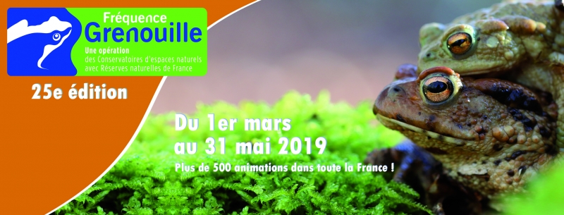 25ème édition de Fréquence Grenouille